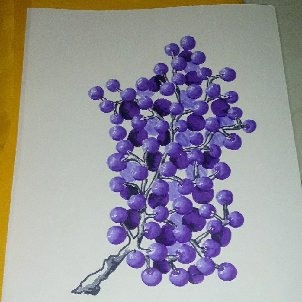 Title: "The Vine"